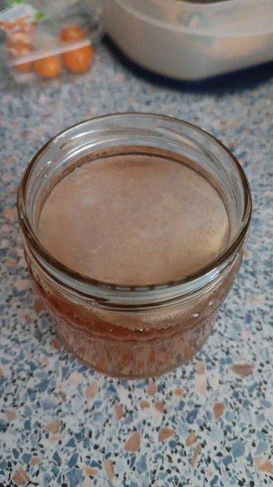 GRATIS!Ciuperci chefir de apa.chefir de lapte și kombucha