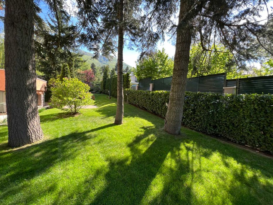 Поддръжка на градини в София  от Mr.Donchev