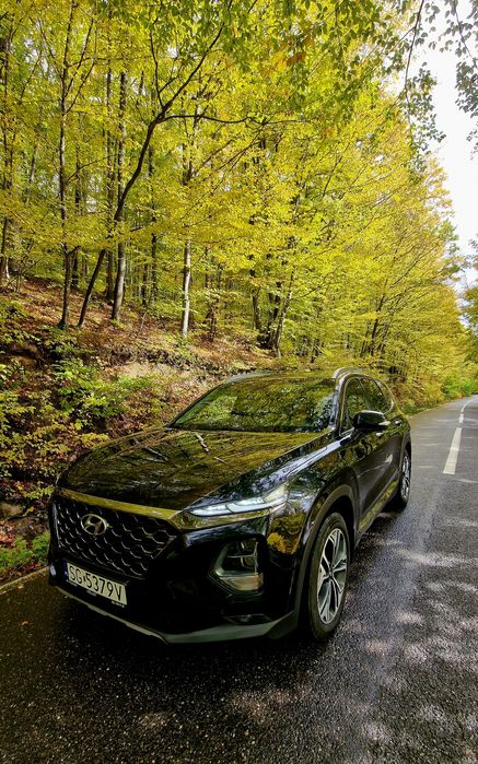 Hyundai Sante Fe 2.0 D 4x4  2020,Full Full exclusive dotari