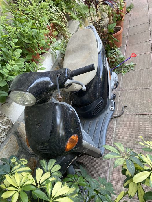 Piaggio libertyy