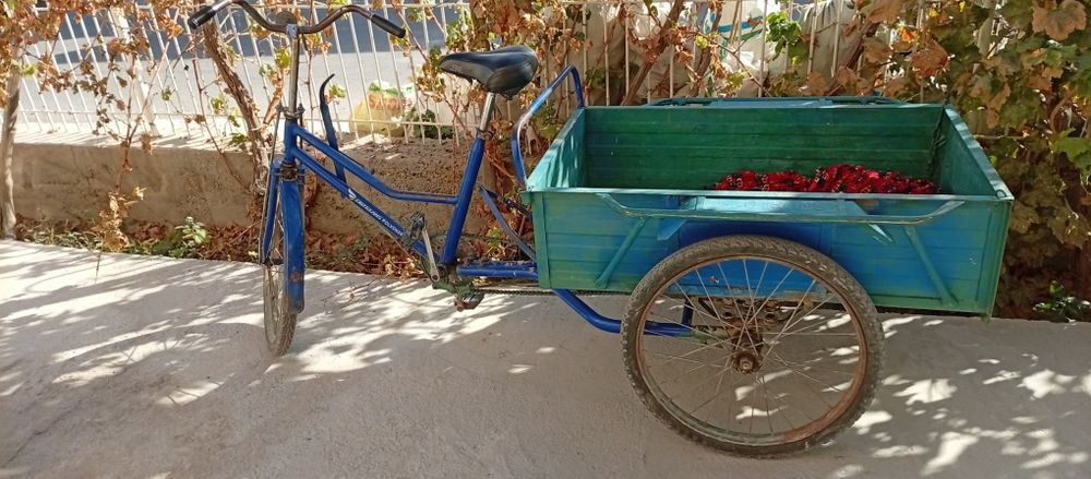 Великий 3 калосм продаем