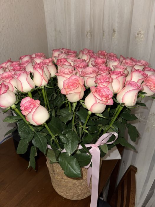 Срочно 51 роза в кашпо