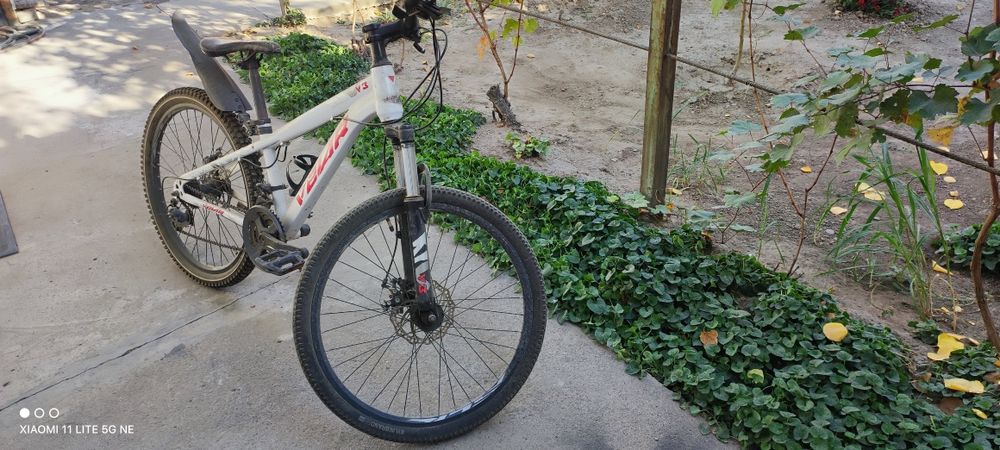 Velisiped holati yaxshi