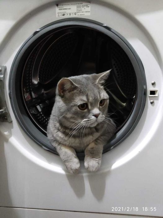 Ремонт стиральных машин