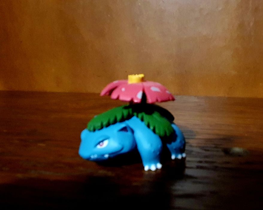 Pokemon Ivysaut & Mega Venusaur