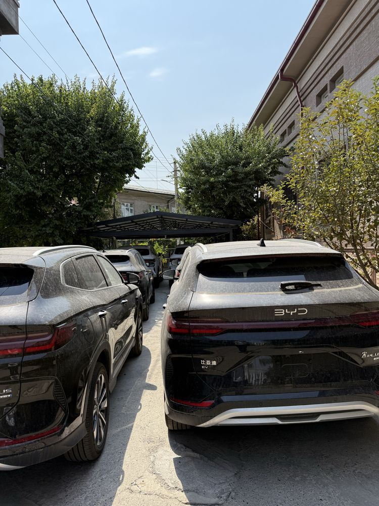 Byd chempion smart 2026