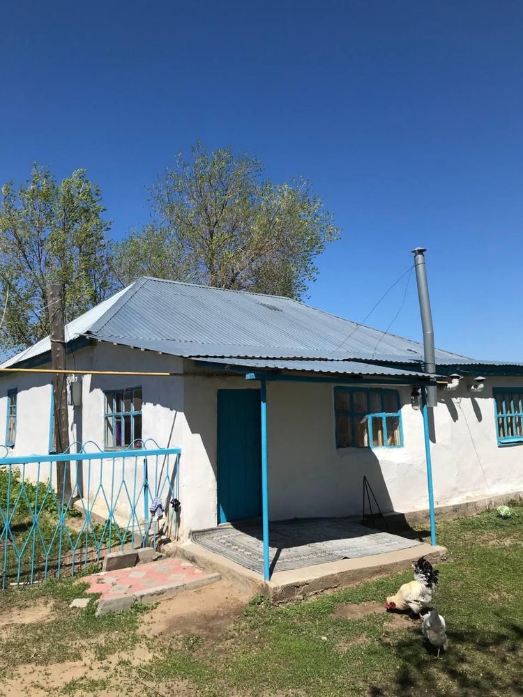 Уй сатылад Сарыкобда