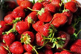 Oferta Butasi mur fara tepi Thornfree, Butasi zmeur fara tepi, capsuni