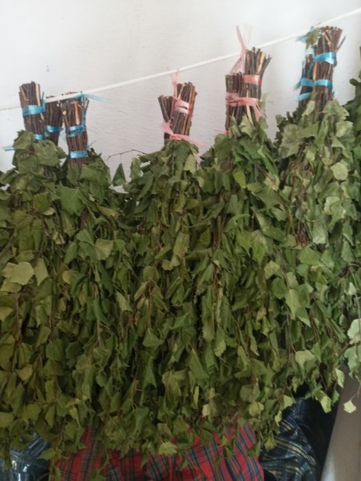 Березовыевеники2025года.для.русскои.бани