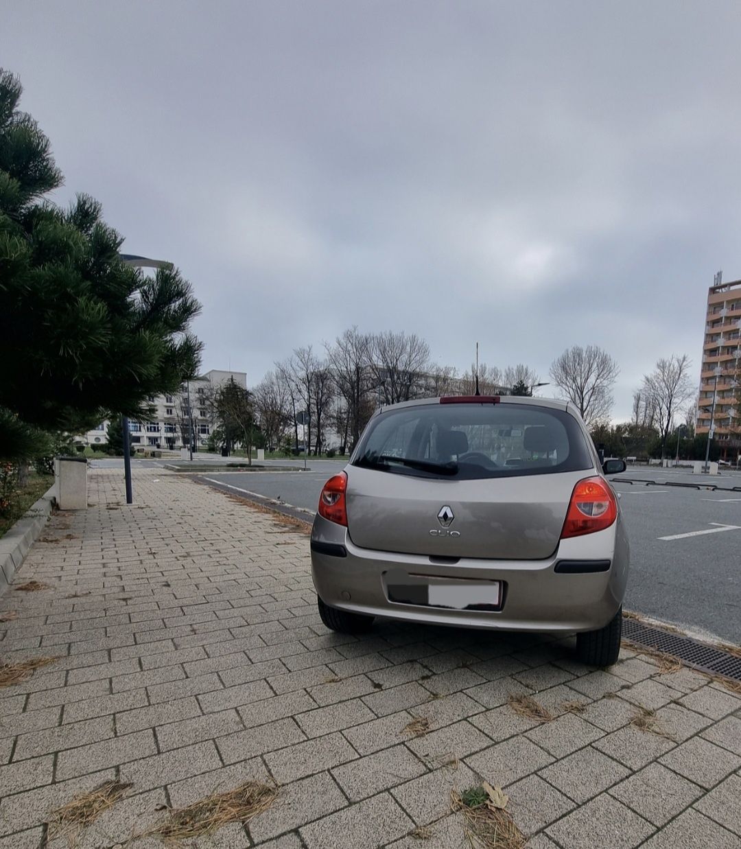 Renault  Clio /Posibilitate Rate