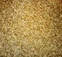 Пшеница кормовая в мешках по 15 кг