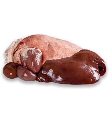 Organe de vita pentru caini