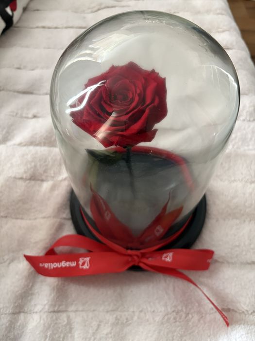 Trandafir criogenat cu cupola
