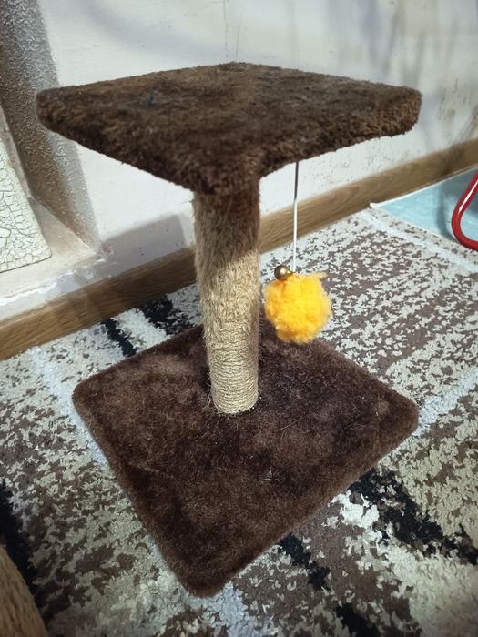 Котешко легло, фонтан и драсалки