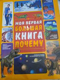 Продаю книгу моя первая большая книга почему