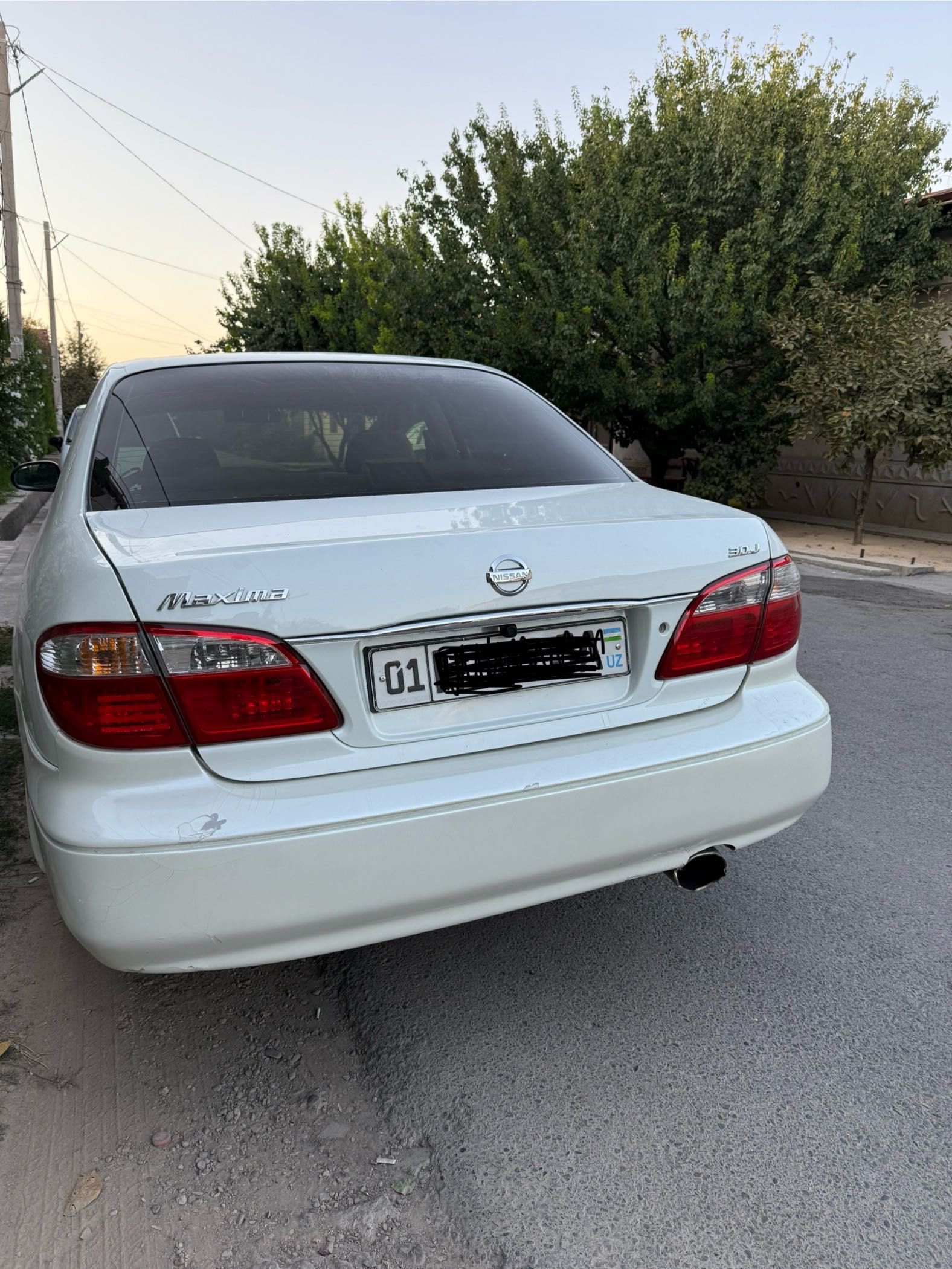 Nissan maxima dubay variant