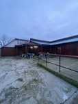Disco-club, Bar, Fast-food, Pariuri sportive
