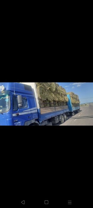 Сено люцерна жоношка урлон свежый укос жоношка урлон свежый укос жонош