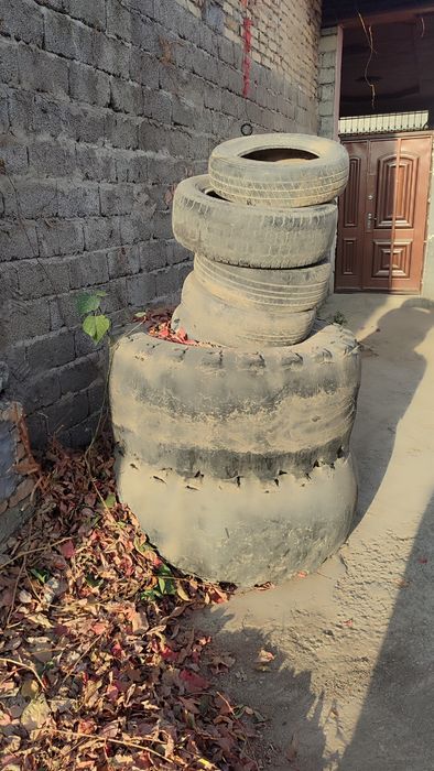 Балон текинга. Шина бесплатно