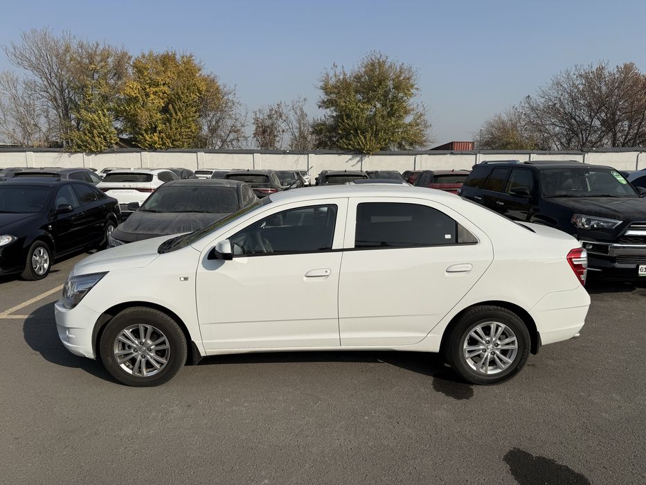 Cobalt 2024 top toza Gazli