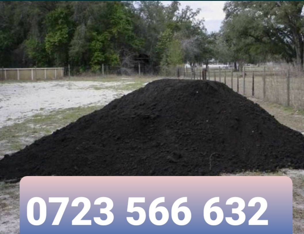 Pământ Nisipos de gazon Pământ negru vegetal