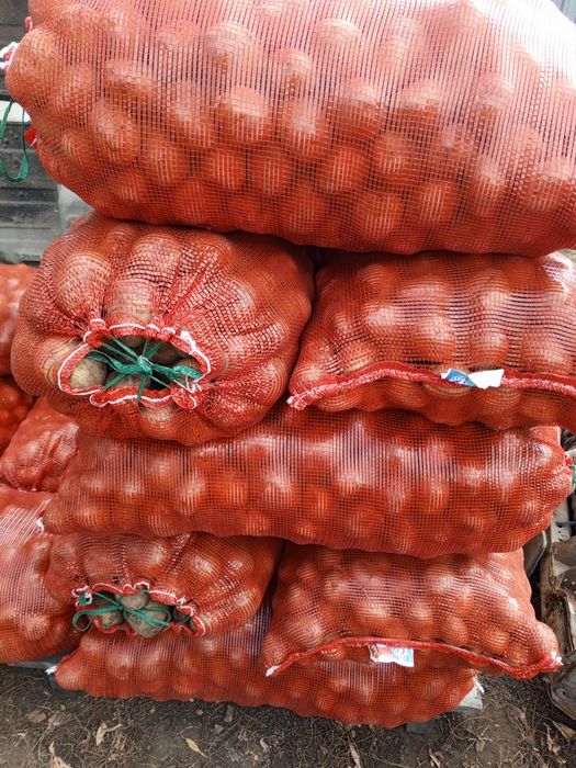 Продам картофель,лук
