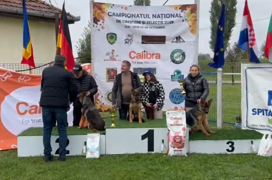 Femeluta Ciobanesc German de elită