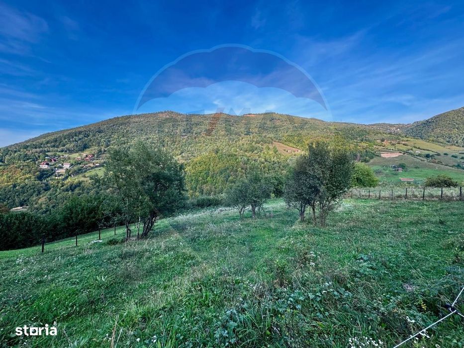 Teren 1812 mp de vânzare | Muntele Rece, cadru liniștit, Comision 0%