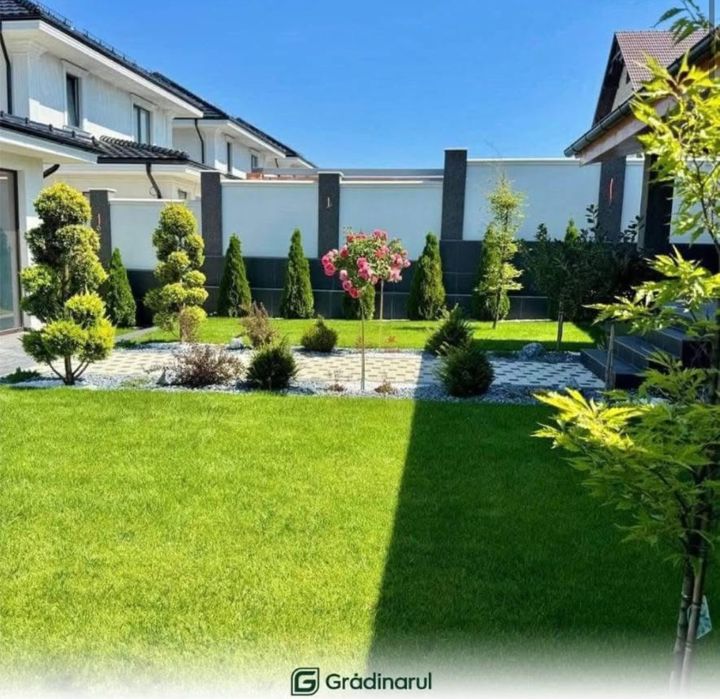 Plante ornamentale de doferite varieatatii