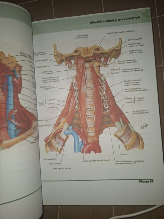 Vând Atlas de Anatomie nou