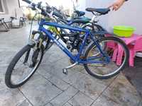 Bicicleta Borens