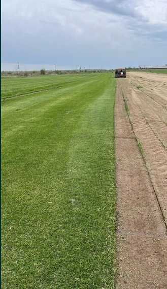 Gazon Rulou Si Sisteme de irigatii + Insamantare