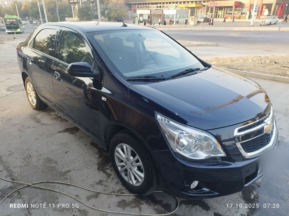 2023 краска тозза