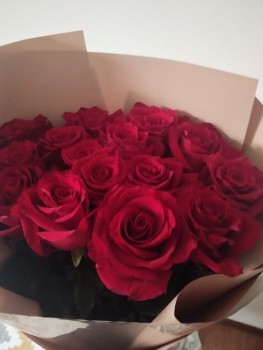 Продам розы 15 шт метровые