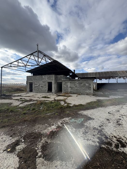 Pretabil Afacere Jumatate de Hectar cu 4 constructii