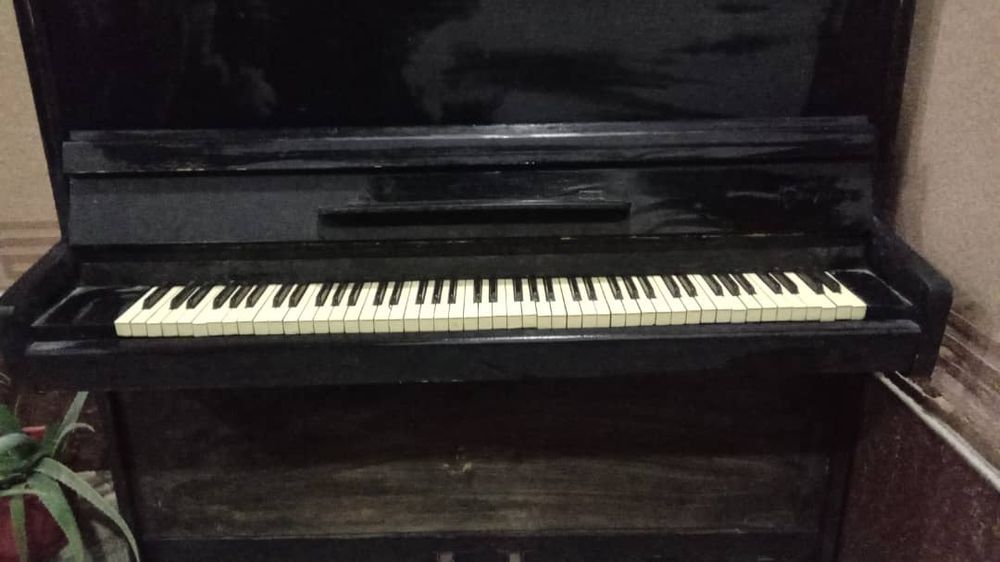 Pionino eski modrlel