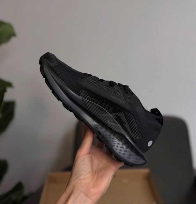 Nike Pegasus Trail 5 Gore-Tex