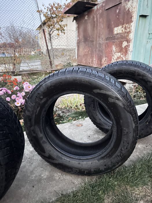 Зимние шины TRIANGLE + с дисками NEO