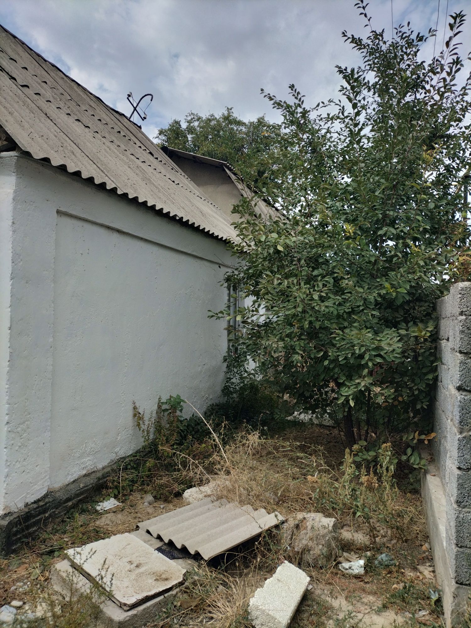 Продается дача Кайнар Булак.