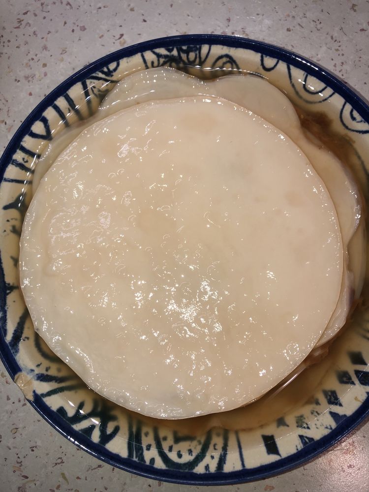 Ciuperca  Kombucha