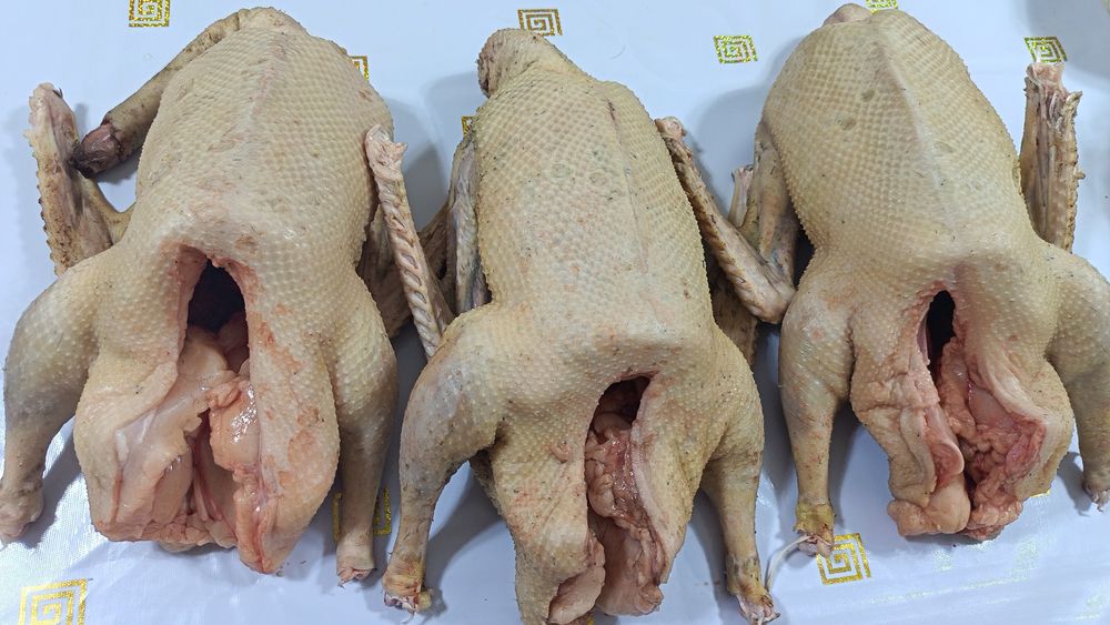 Продаётся. гусей