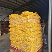 Cartof import super lux 80+