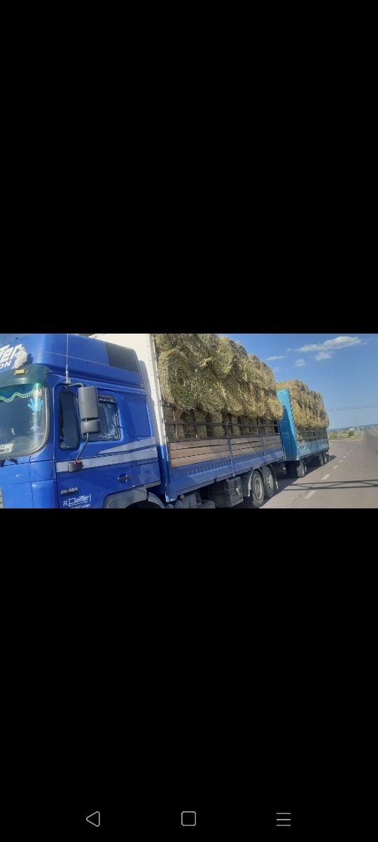 Сено люцерна клевр жоношка жай щоп урлон сатамын жоношка разнавие урло