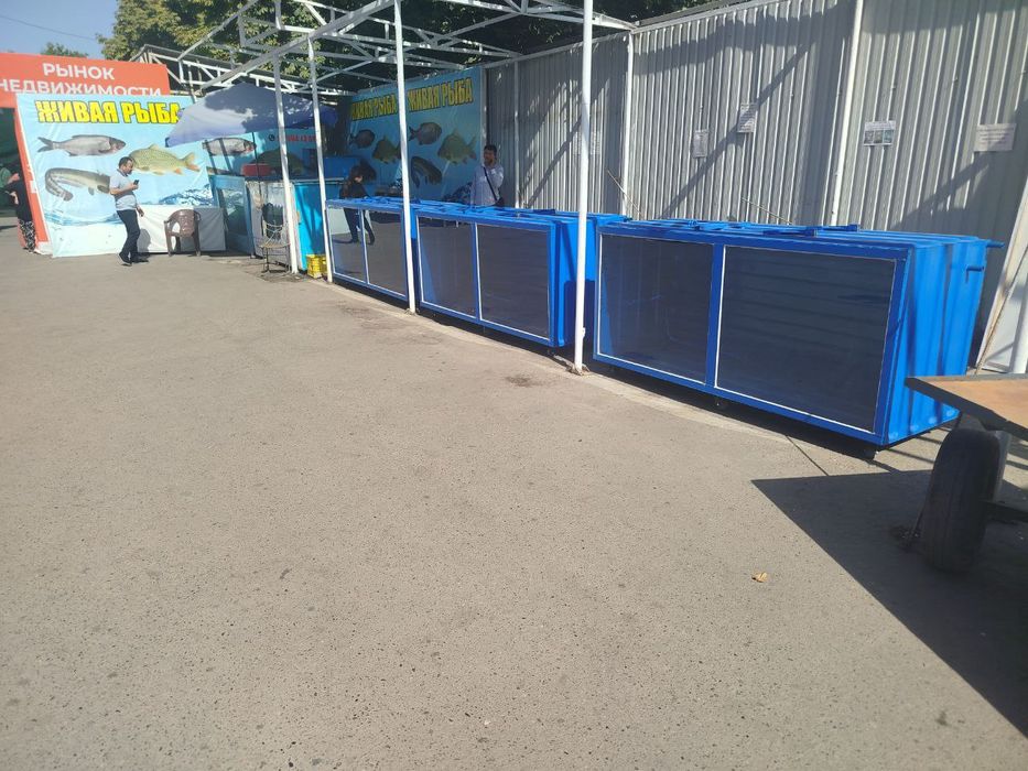 Аквариум для рыб