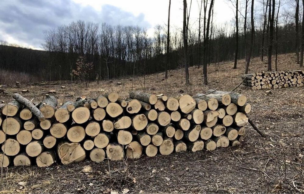 Vand lemne de foc