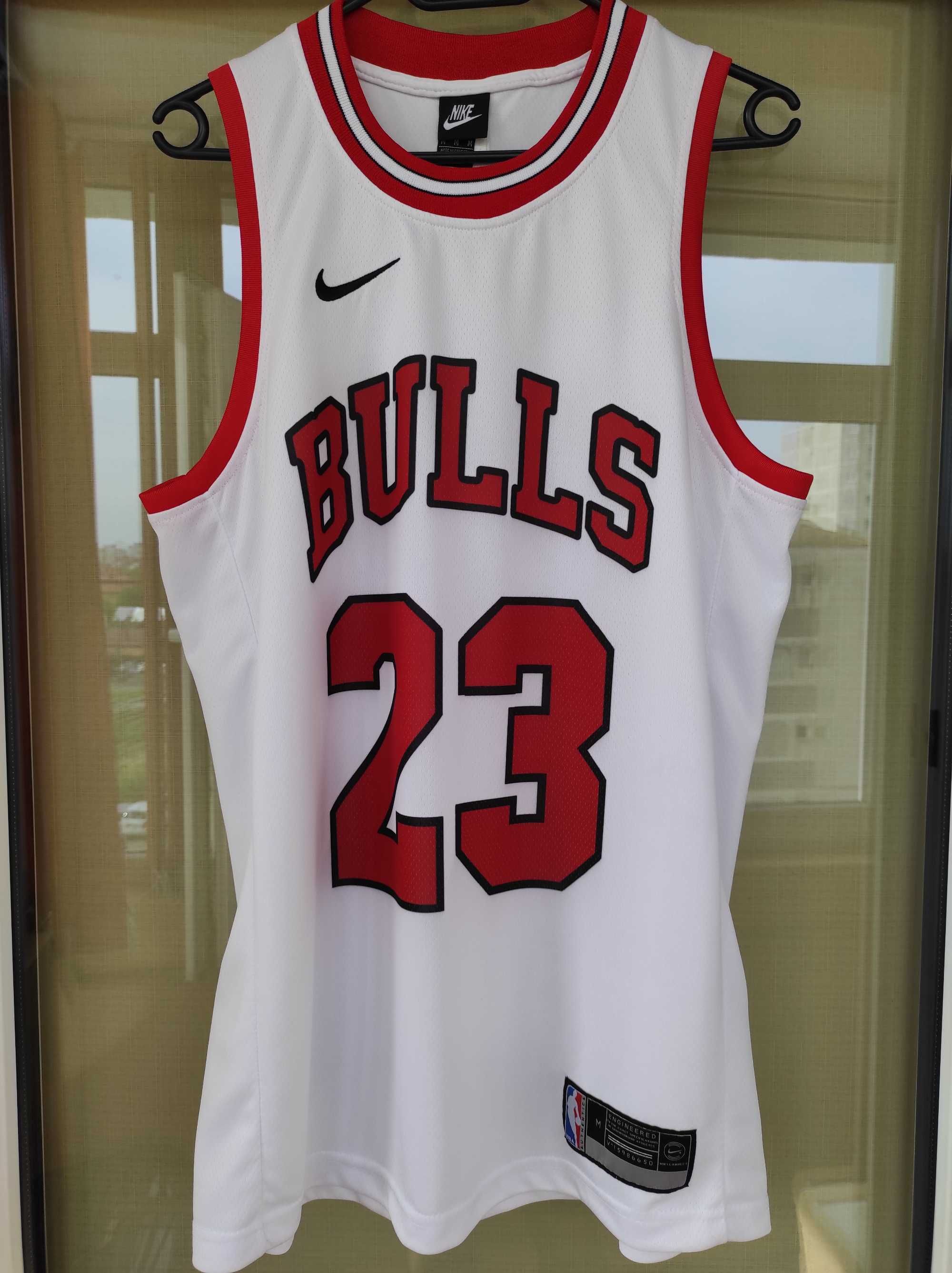 Maieu Chicago Bulls