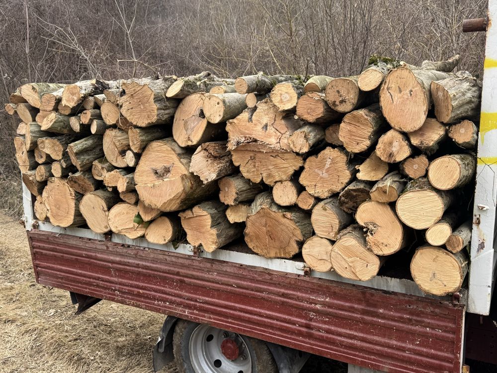 Продавам дърва за огрев габър и осен със собствен превоз