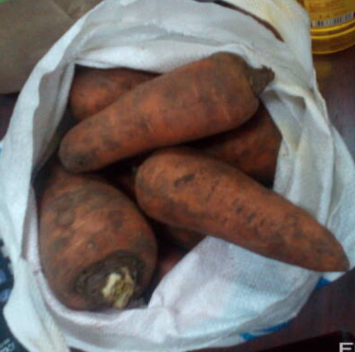 Продам морковь по 100 тенге