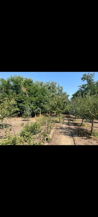 Casă de vânzare în comuna Amărăștii de Jos, jud. Dolj
