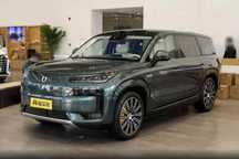 Mix motors Denza N9 cip Tashkent под заказ